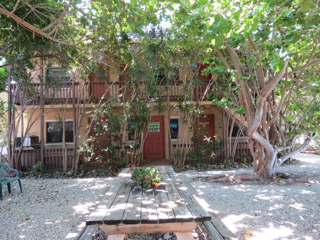 Ed & Ellen'S Lodgings Key Largo Motel Eksteriør bilde