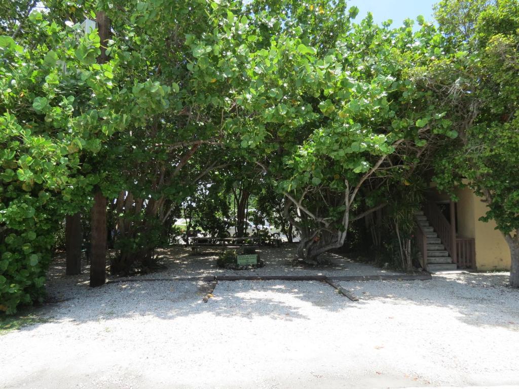 Ed & Ellen'S Lodgings Key Largo Motel Eksteriør bilde