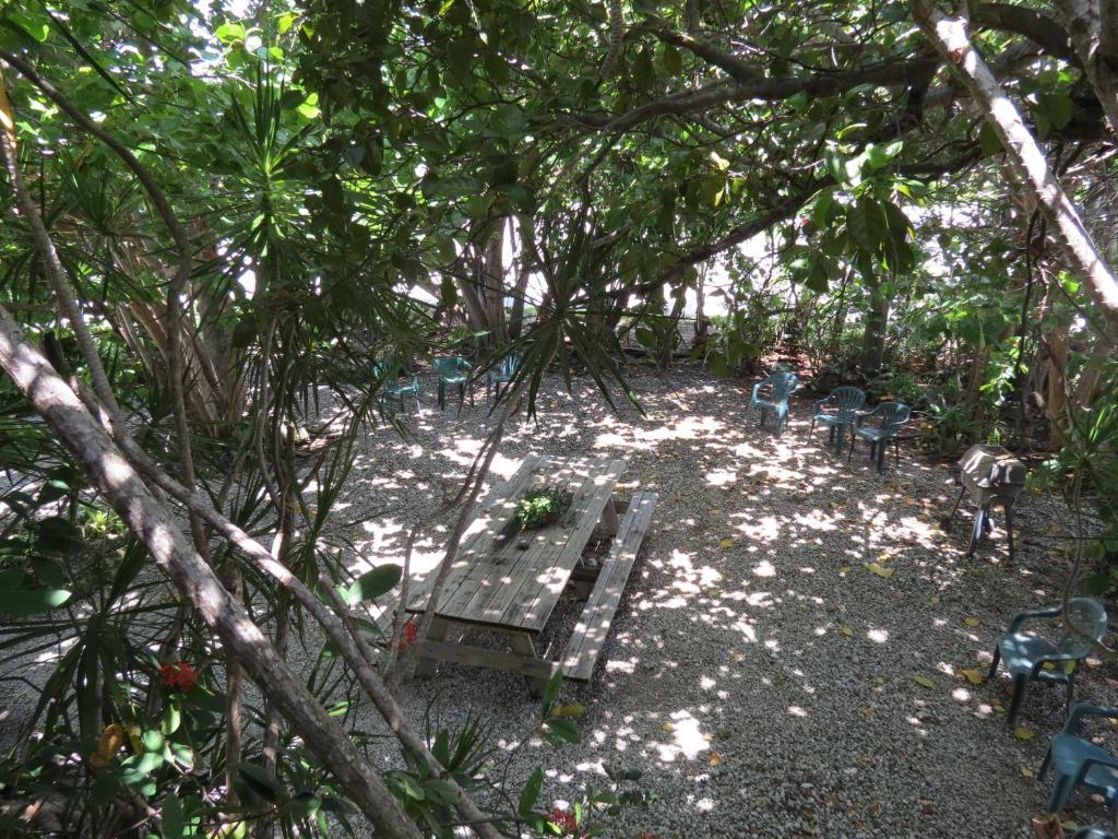 Ed & Ellen'S Lodgings Key Largo Motel Rom bilde