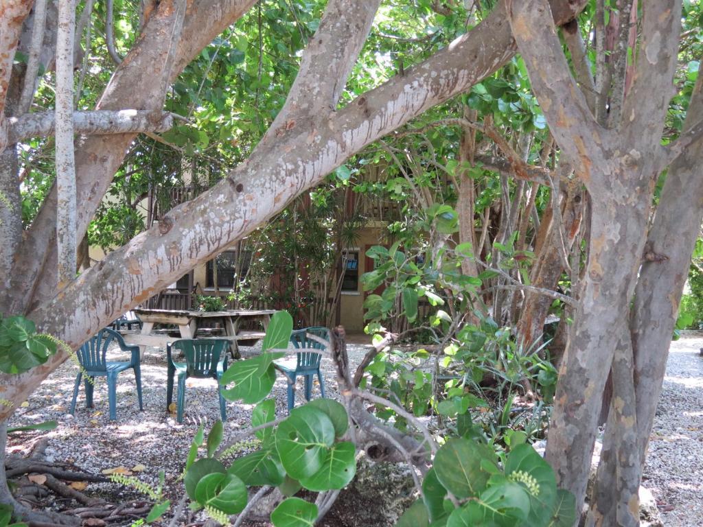 Ed & Ellen'S Lodgings Key Largo Motel Eksteriør bilde