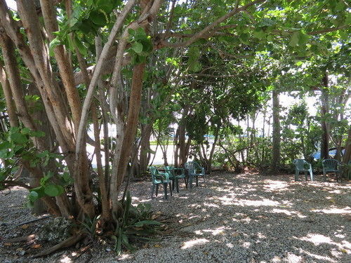 Ed & Ellen'S Lodgings Key Largo Motel Eksteriør bilde