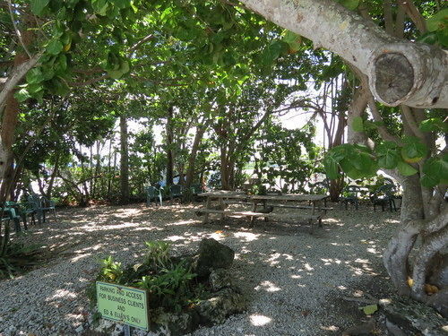 Ed & Ellen'S Lodgings Key Largo Motel Eksteriør bilde