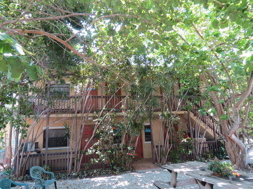 Ed & Ellen'S Lodgings Key Largo Motel Eksteriør bilde