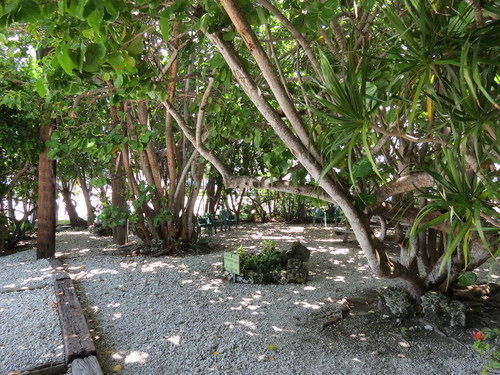 Ed & Ellen'S Lodgings Key Largo Motel Eksteriør bilde