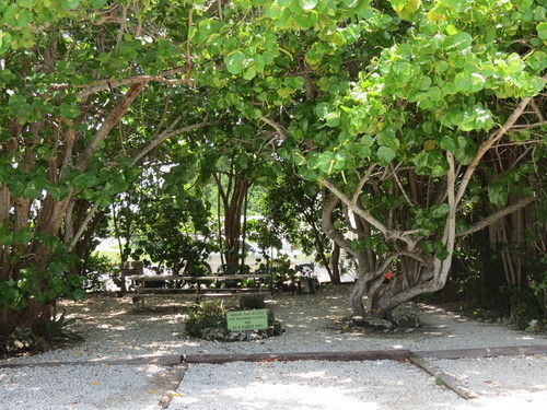 Ed & Ellen'S Lodgings Key Largo Motel Eksteriør bilde